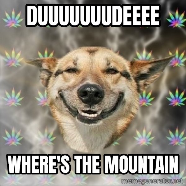 Stoner Dog meme: DUUUUUUUDEEEE / WHERE'S THE MOUNTAIN