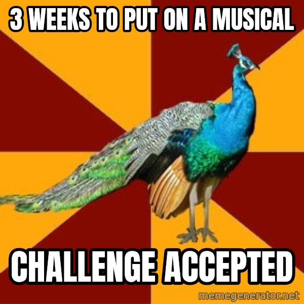 Thespian Peacock meme: 3 weeks to put on a musical / challenge accepted