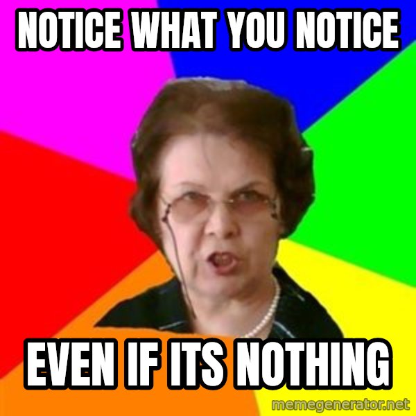 teacher meme: notice what you notice / even if its nothing