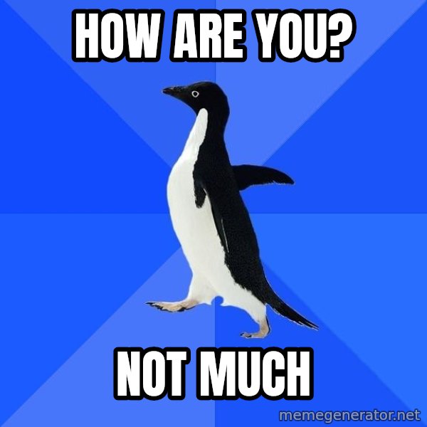 Socially Awkward Penguin meme: How are you? / Not much