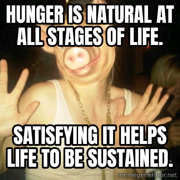 Pig Chloe meme: Hunger is natural at all stages of life. / SATISFYING IT HELPS LIFE TO BE SUSTAINED.