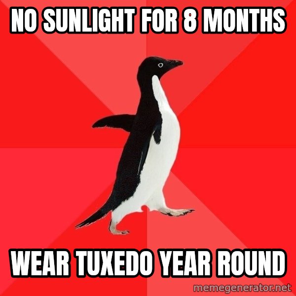 Socially Awesome Penguin meme: no sunlight for 8 months / wear tuxedo year round
