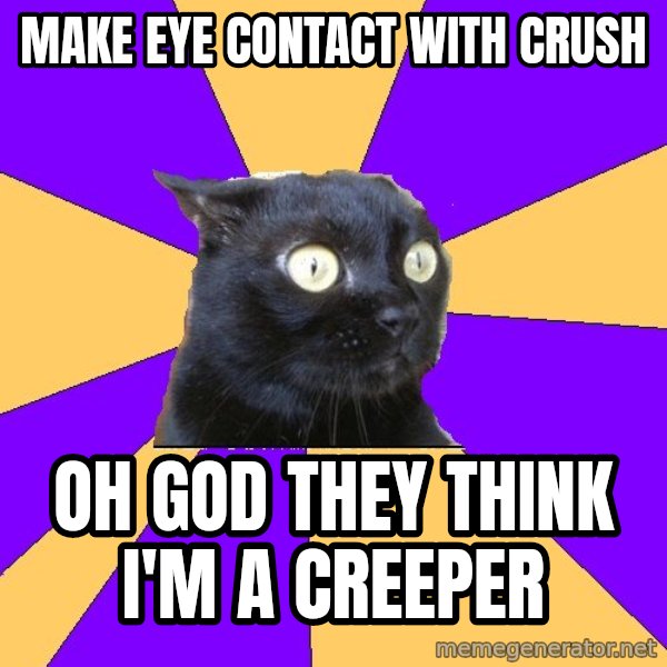Anxiety Cat meme: Make eye contact with crush / oh god they think i'm a creeper