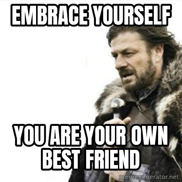Prepare yourself meme: embrace yourself / you are your own best friend