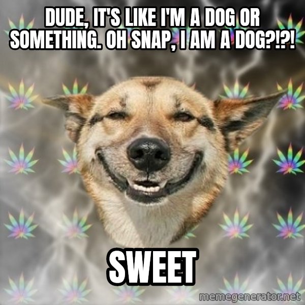 Stoner Dog meme: DUDE, it's like i'm a dog or something. oh snap, i am a dog?!?! / sweet