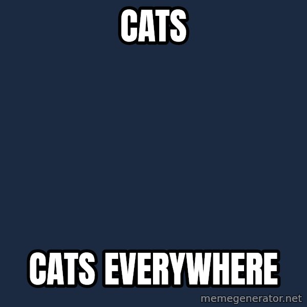 X, X Everywhere  meme: Cats / Cats everywhere