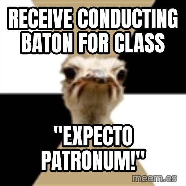 Music Major Ostrich meme: RECEIVE Conducting BATON For Class / "Expecto Patronum!"