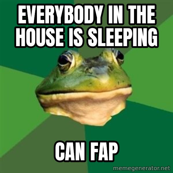 Foul Bachelor Frog meme: everybody in the house is sleeping / can fap