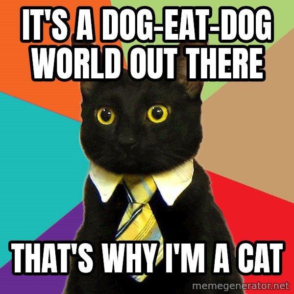 Business Cat meme: It's a dog-Eat-Dog world out there / that's why I'm a cat