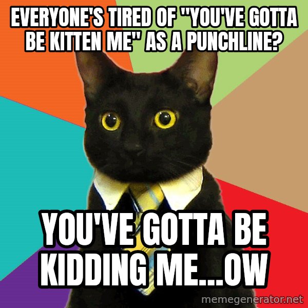 Business Cat meme: Everyone's tired of "you've gotta be kitten me" as a punchline? / You've gotta be kidding me...ow