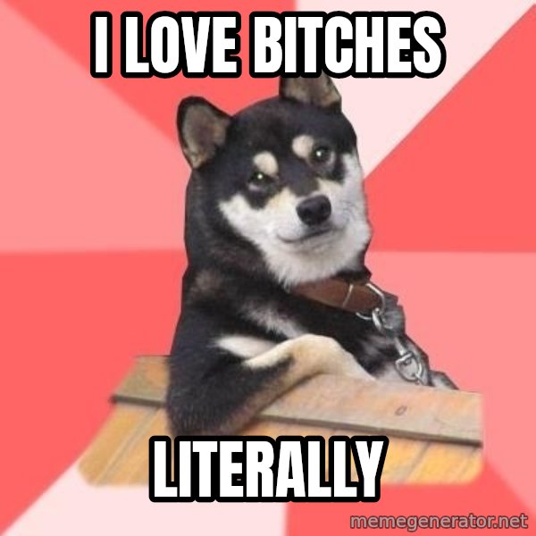 Cool Dog meme: i love bitches / literally