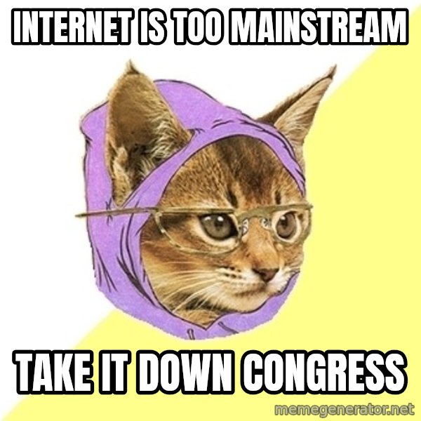 Hipster Kitty meme: Internet is too mainstream / Take it down congress
