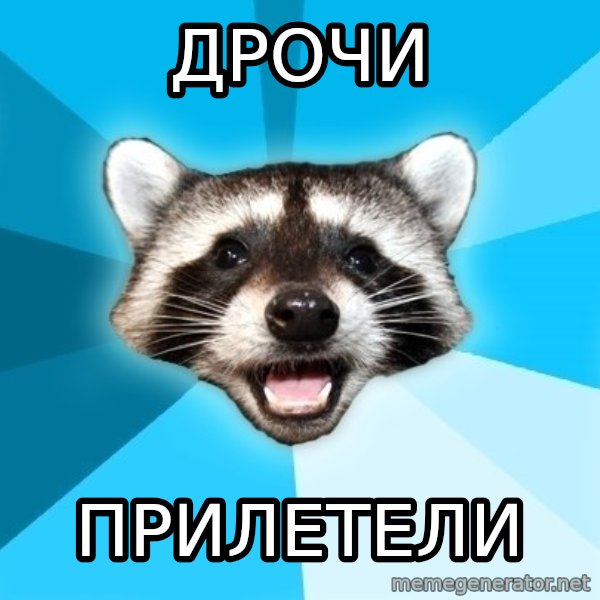 Lame Pun Coon meme: дрочи / прилетели
