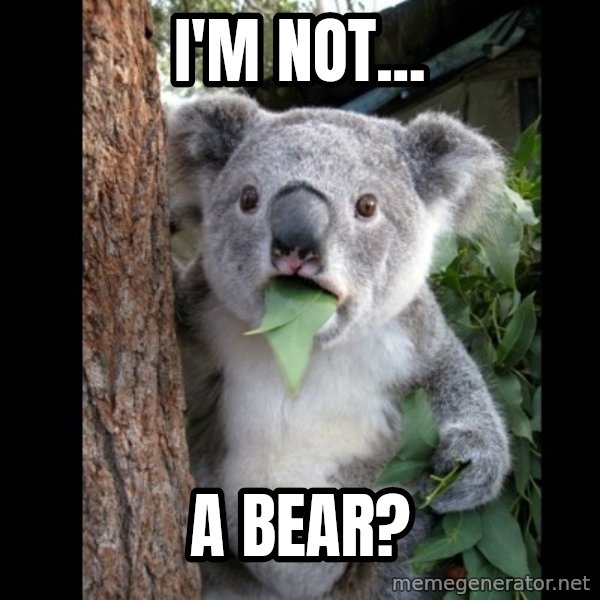 Koala can't believe it meme: i'm not... / a bear?
