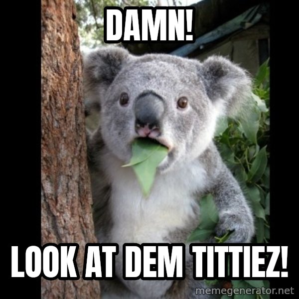 Koala can't believe it meme: DAMN! / LOOK AT DEM TITTIEZ!