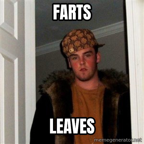 Scumbag Steve meme: Farts / Leaves