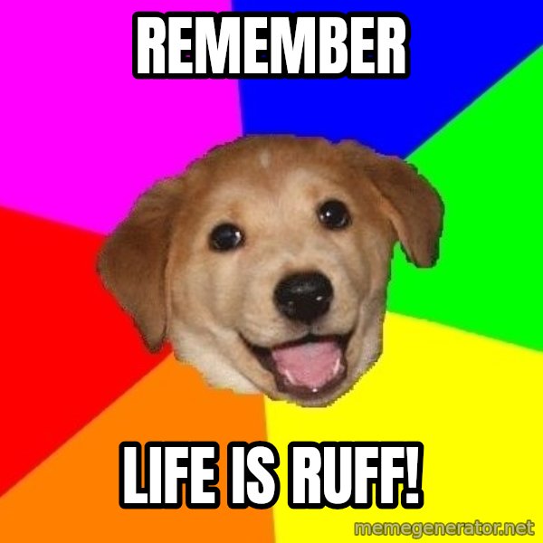 Advice Dog meme: remember / life is ruff!