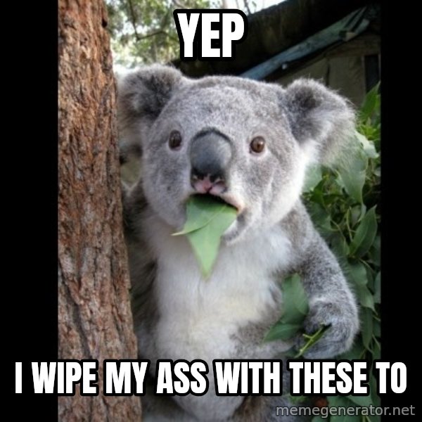 Koala can't believe it meme: Yep / I wipe my ass with these to