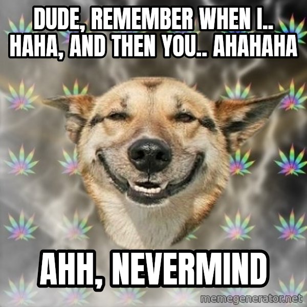 Stoner Dog meme: dude, remember when i.. haha, and then you.. ahahaha / ahh, nevermind