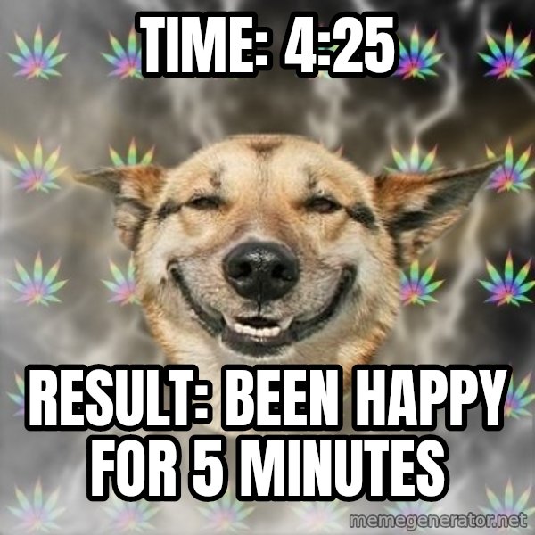 Stoner Dog meme: Time: 4:25 / Result: Been happy for 5 minutes