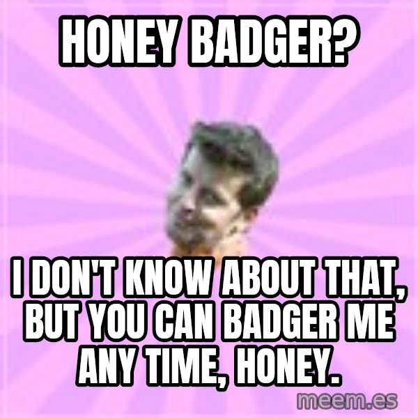 Sassy Gay Friend meme: honey badger? / I don't know about that, but you can badger me any time, honey.