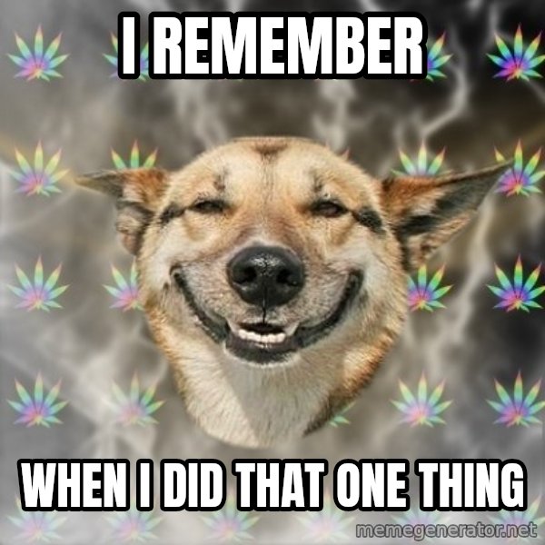 Stoner Dog meme: I Remember / when i did that one thing