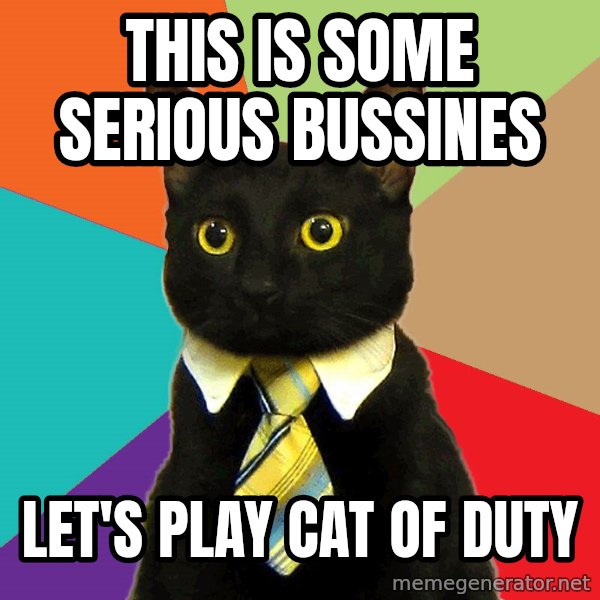 Business Cat meme: this is some serious bussines / let's play cat of duty