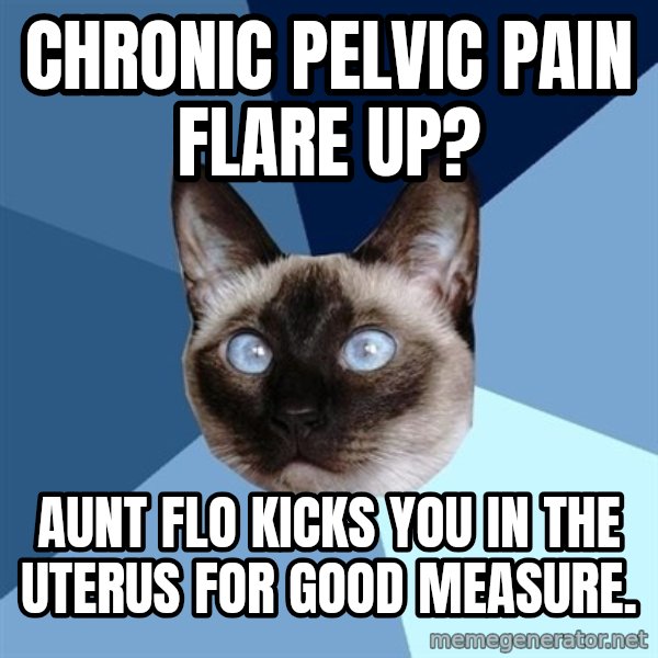 Chronic Illness Cat meme: Chronic pelvic pain flare up? / aunt flo kicks you in the uterus for good measure.