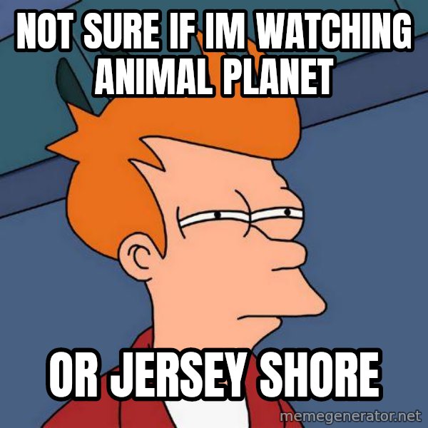 Futurama Fry meme: not sure if im watching animal planet / or jersey shore