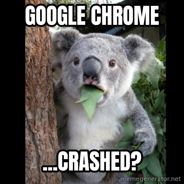 Koala can't believe it meme: Google chrome / ...crashed?