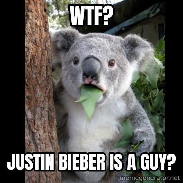 Koala can't believe it meme: wtf? / justin bieber is a guy?