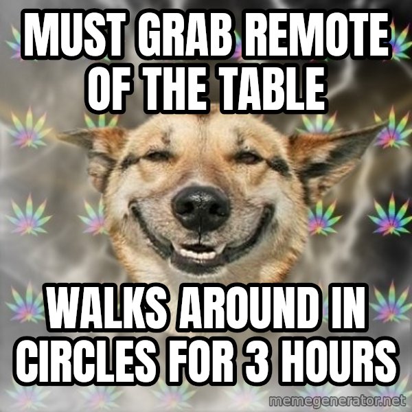 Stoner Dog meme: must grab remote of the table / walks around in circles for 3 hours