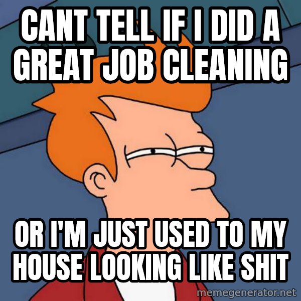 Futurama Fry meme: CANT TELL IF I DID A GREAT JOB CLEANING / OR I'M JUST USED TO MY HOUSE LOOKING LIKE SHIT