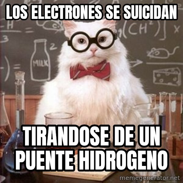 Chemistry Cat meme: Los electrones se suicidan / tirandose de un puente hidrogeno