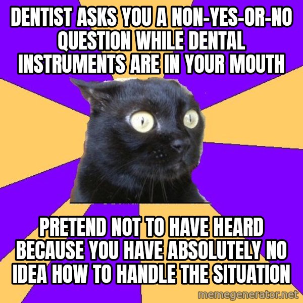 Anxiety Cat meme: Dentist Asks you a non-yes-or-no question while dental instruments are in your mouth / Pretend not to have heard because you have absolutely no idea how to handle the situation
