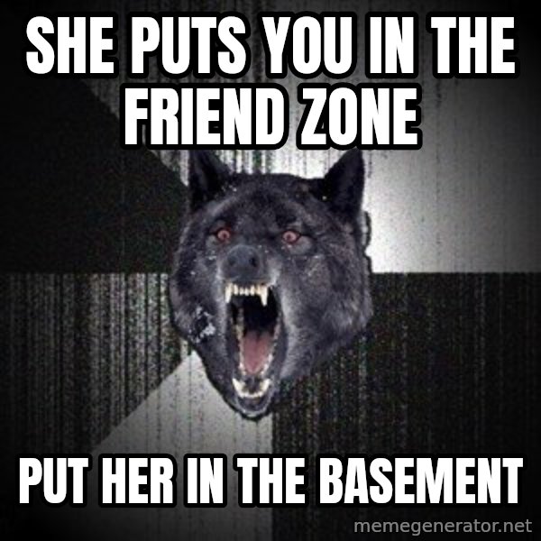 Insanity Wolf meme: She puts you in the friend zone / put her in the basement