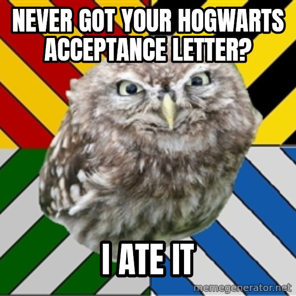 JEALOUS POTTEROMAN meme: never got your hogwarts acceptance letter? / i ate it