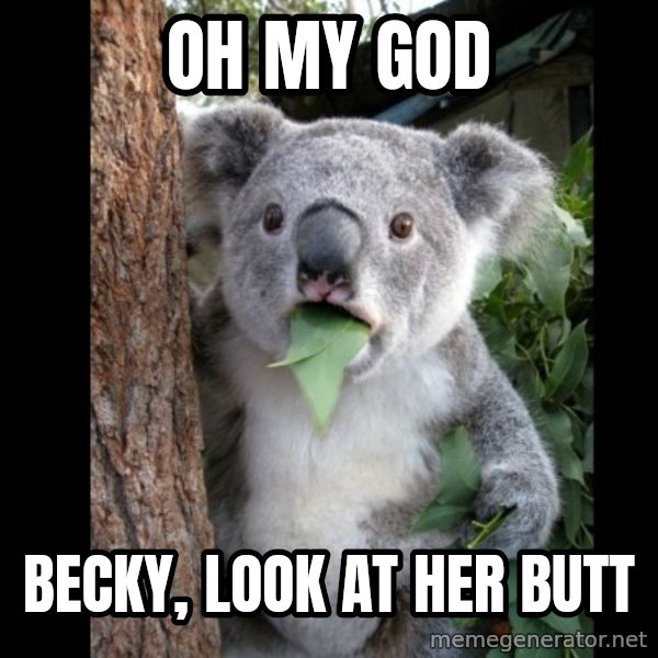 Koala can't believe it meme: OH MY GOD / BECKY, LOOK AT HER BUTT