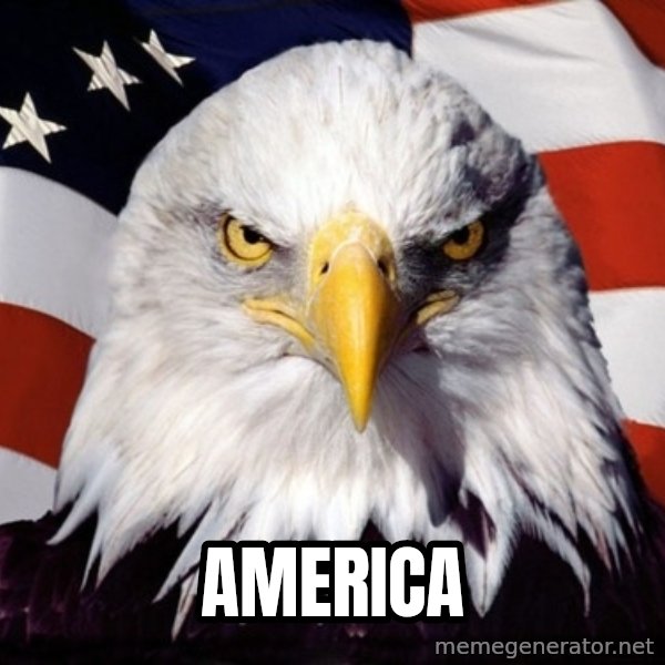 American Pride Eagle meme: america