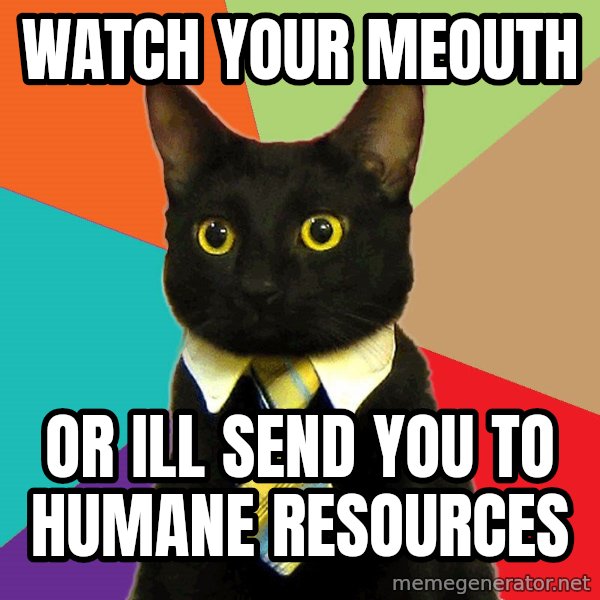 Business Cat meme: Watch your meouth / or ill send you to humane resources