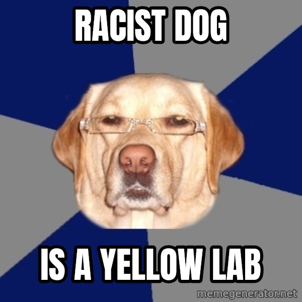 Racist Dog meme: racist dog / is a yellow lab