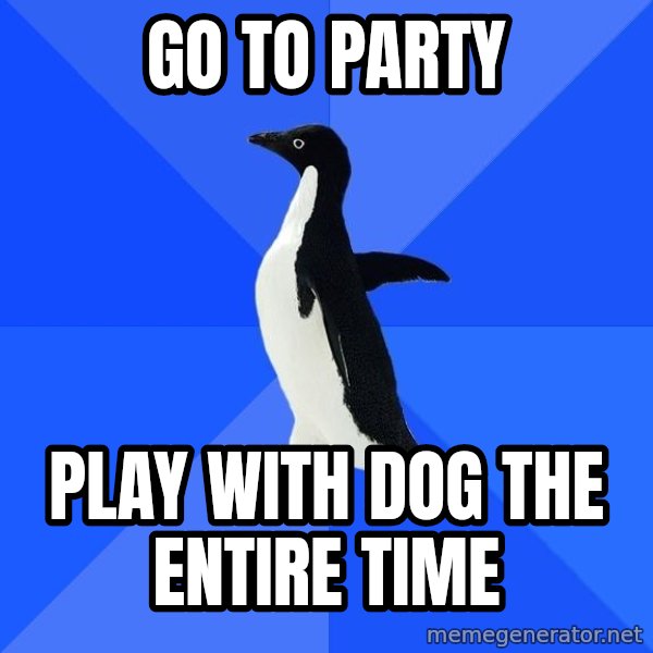 Socially Awkward Penguin meme: go to party / play with dog the entire time