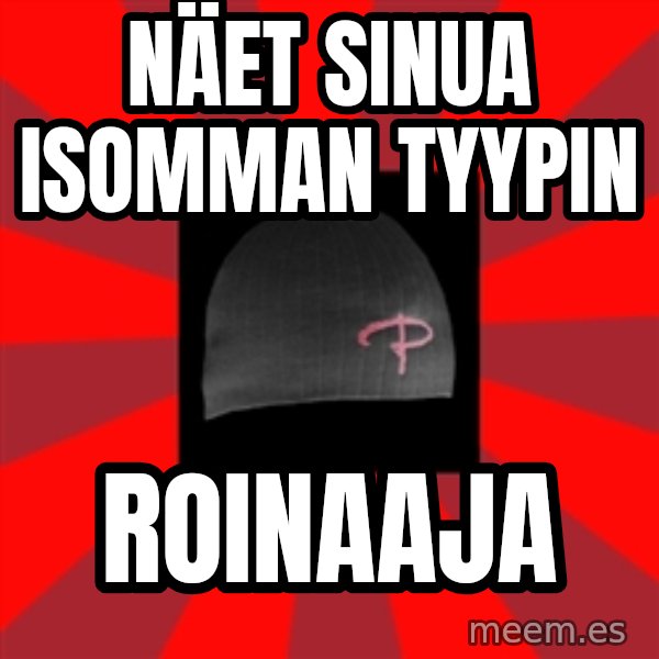 Keskiverto Pakkislainen meme: nÄET SINUA ISOMMAN TYYPIN / ROINAAJA