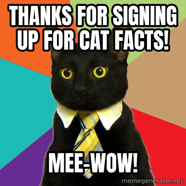 Business Cat meme: thanks for signing up for cat facts! / mee-wow!