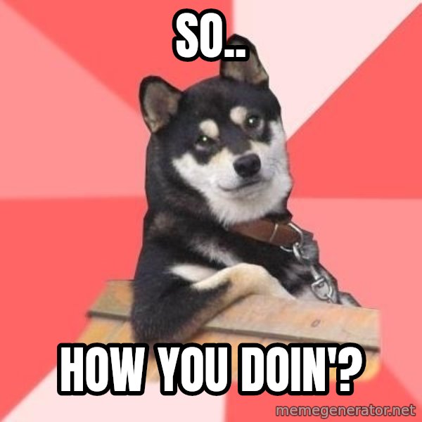 Cool Dog meme: so.. / how you doin'?