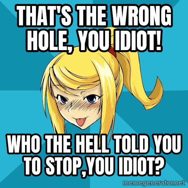 Horney Samus meme: That's the wrong hole, you idiot! / Who the hell told you to stop,you idiot?
