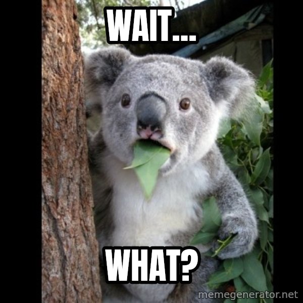 Koala can't believe it meme: Wait... / what?
