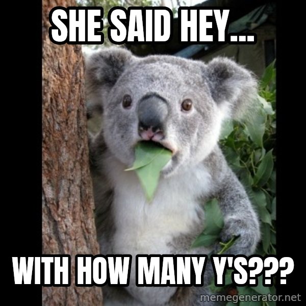 Koala can't believe it meme: she said hey... / with how many y's???