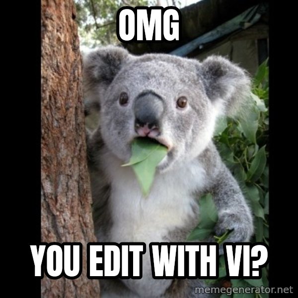 Koala can't believe it meme: OMG / YOU edit with vi?