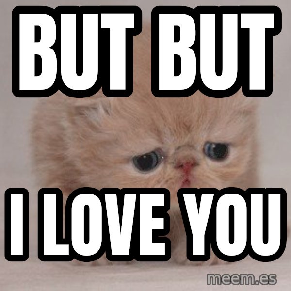 Super Sad Cat meme: but but / i love you
